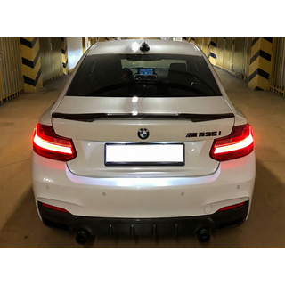 Спойлер M4-Style (для F22, чорний глянець) фото 1