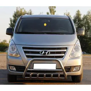 Кенгурятник WT003 (нерж) Hyundai H300, H1, Starex 2008-2020 рр. фото 1