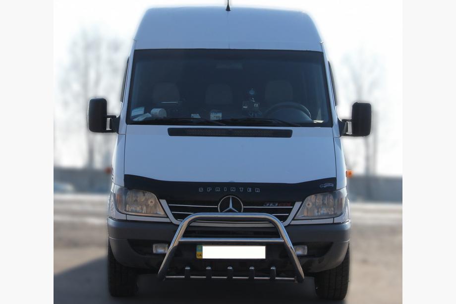 Mercedes Sprinter W901/902/903/904/905 1995-2006 рр. Кенгурятник WT003 (нерж.) Image