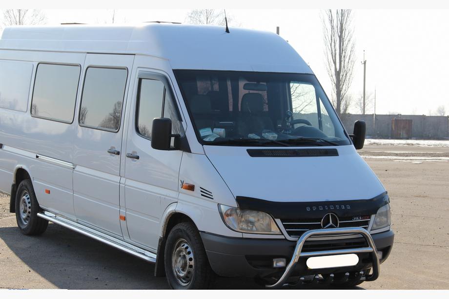 Mercedes Sprinter W901/902/903/904/905 1995-2006 рр. Кенгурятник WT003 (нерж.) 1995-2000 Фото 3