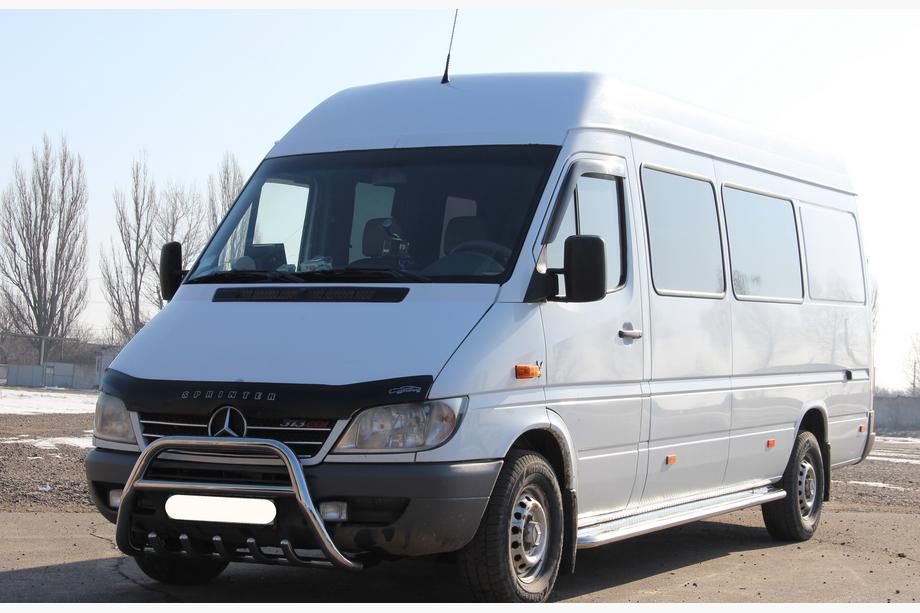 Mercedes Sprinter W901/902/903/904/905 1995-2006 рр. Кенгурятник WT003 (нерж.) 1995-2000 Фото 4