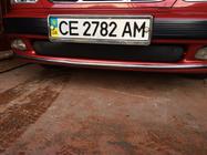 Daewoo Lanos 1998-2017 рр. Зимова накладка на решітку (нижня) Матова фото 2