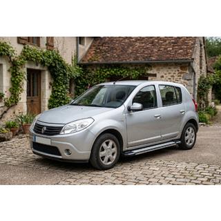 Бокові пороги Rainbow (2 шт., Алюміній) Dacia Sandero 2007-2013 рр. фото 1