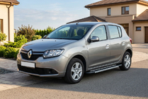 Renault Sandero 2013-2022 рр. Бокові пороги RedLine V1 (2 шт., Алюміній) фото 1