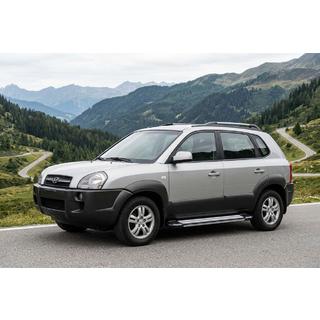 Бокові пороги Rainbow (2 шт., Алюміній) Hyundai Tucson JM 2004- рр. фото 1