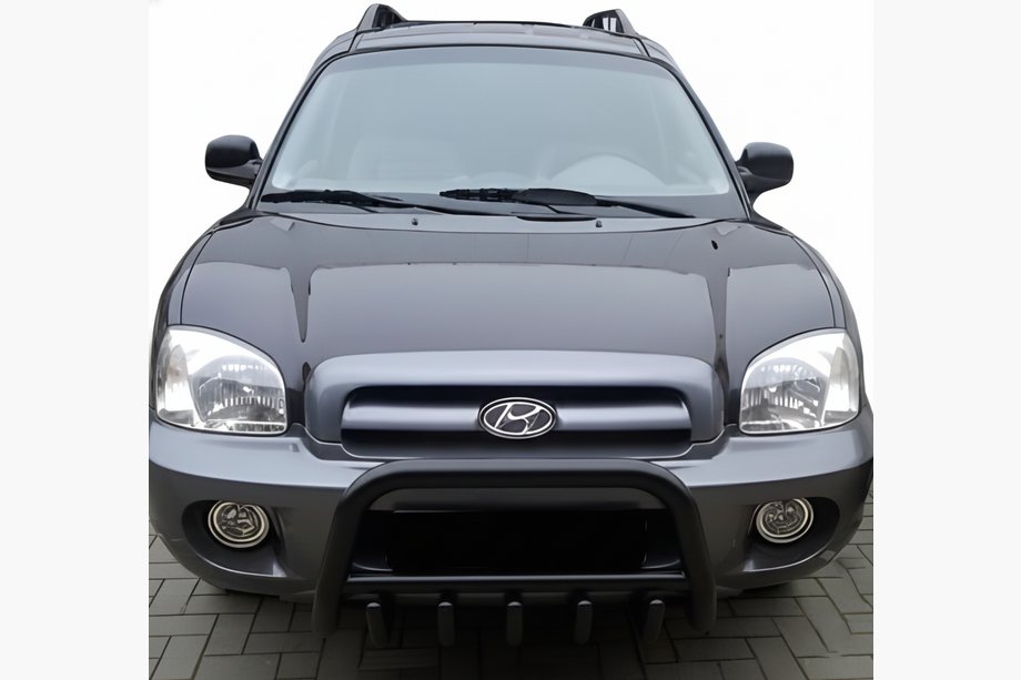 Hyundai Santa Fe 1 2000-2006 рр. Кенгурятник WT003 Black (нерж.) Фото 3
