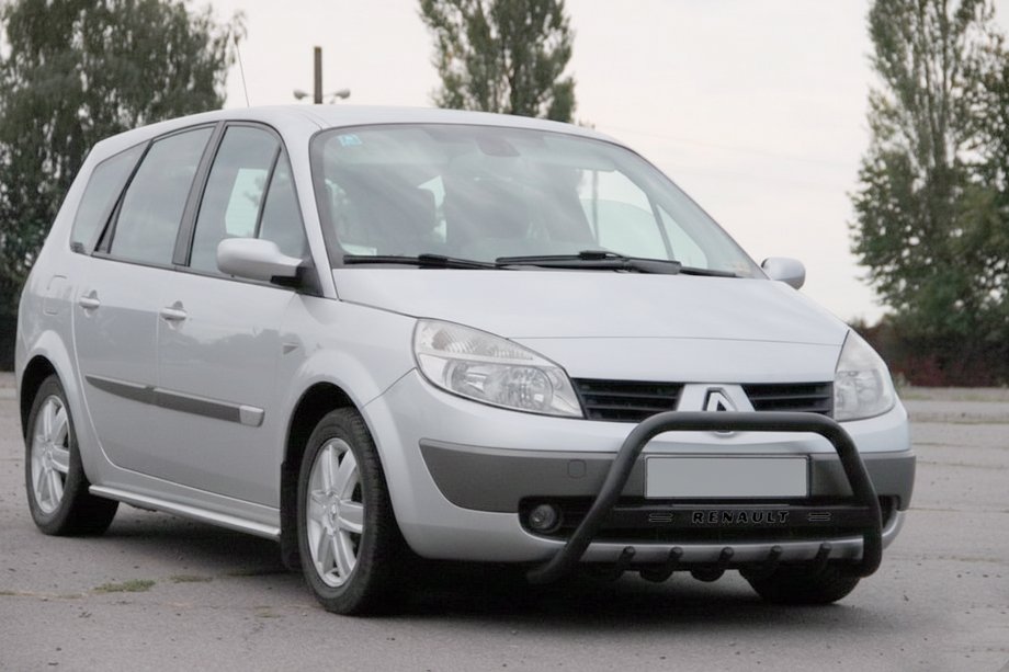 Renault Scenic/Grand 2003-2009 рр. Кенгурятник WT004 Black (нерж.) Фото 2