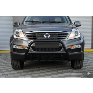 Кенгурятник WT003 Black (нерж) SsangYong Rexton I 2001-2017 рр. фото 1