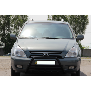 Кенгурятник WT003 Black (нерж) фото 1