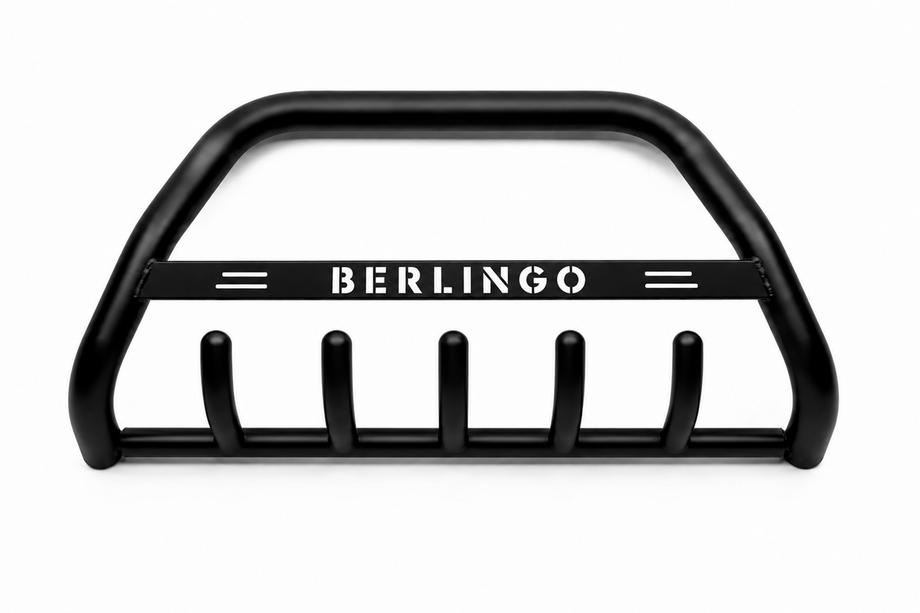 Citroen Berlingo 1996-2008 рр. Кенгурятник WT004 Black (нерж) Фото 1