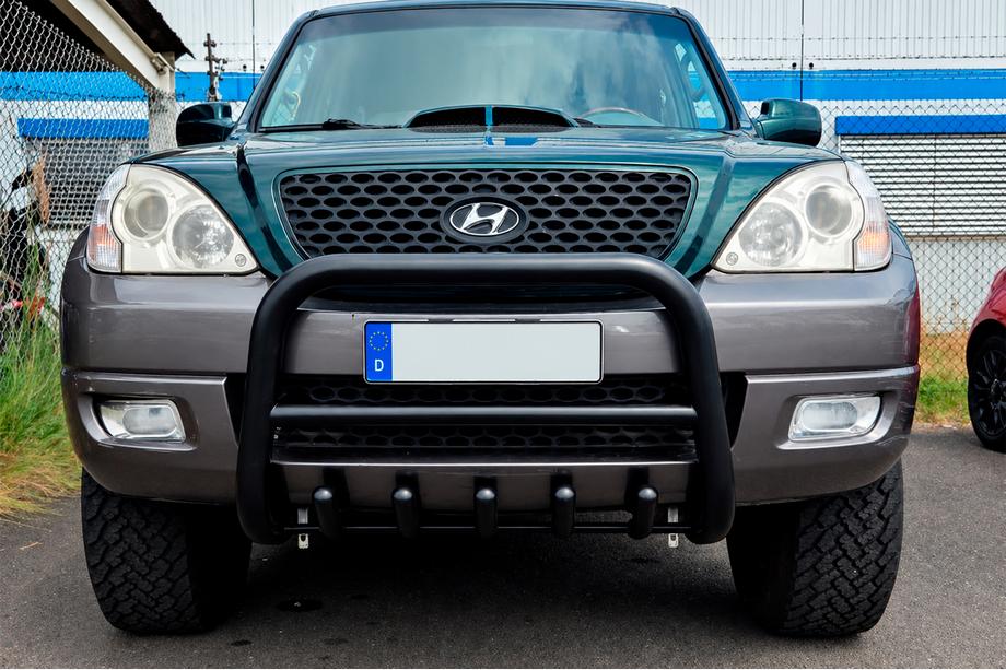 Hyundai Terracan 2001-2007 рр. Кенгурятник WT003 Black (нерж)