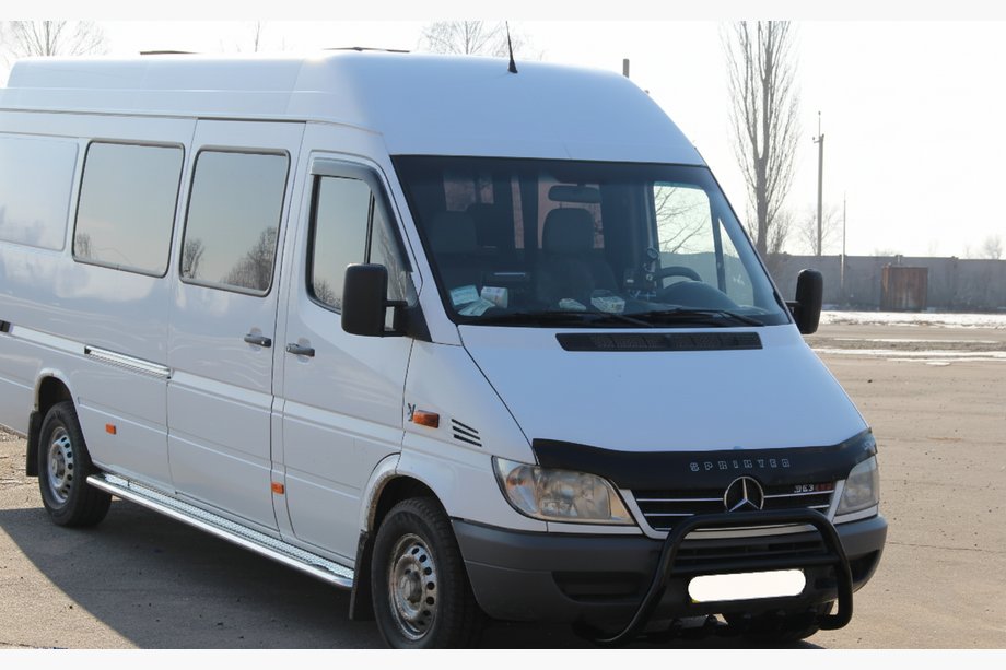 Mercedes Sprinter W901/902/903/904/905 1995-2006 рр. Кенгурятник WT003 Black (нерж.) Фото 4