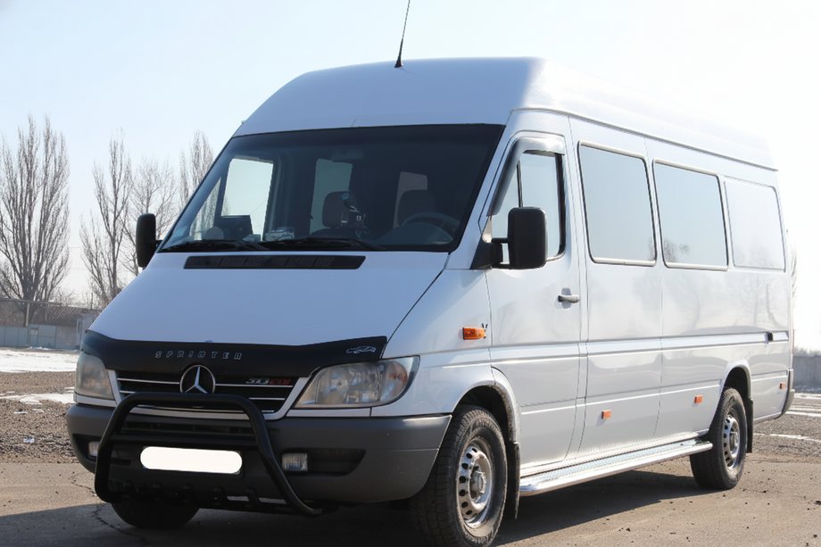 Mercedes Sprinter W901/902/903/904/905 1995-2006 рр. Кенгурятник WT003 Black (нерж.) Фото 1