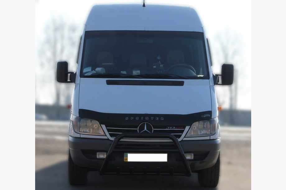 Mercedes Sprinter W901/902/903/904/905 1995-2006 рр. Кенгурятник WT003 Black (нерж.) Фото 3