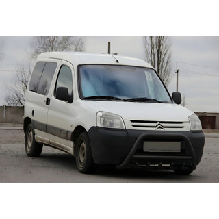 Кенгурятник WT003 Black (нерж) фото 1