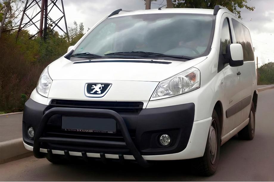 Citroen Jumpy 2007-2017 рр. Кенгурятник WT003 Black (нерж) Image