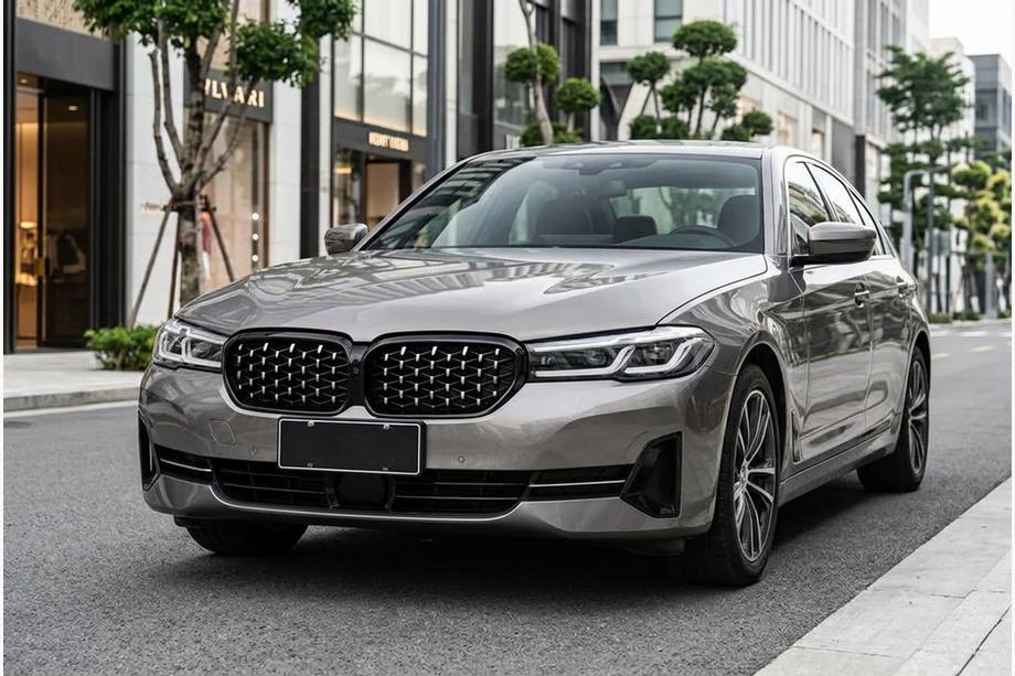 BMW 5 серія G30/G31 2017-2023 рр. Ніздрі Diamond Silver (2021-2023) Фото 1