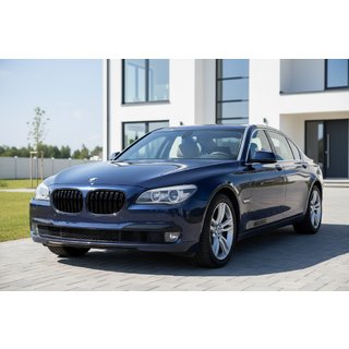 Ніздрі M-Look (чорний глянець) BMW 7 серія F01/F02 2008-2015 рр. фото 1