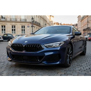 Ніздрі 1-Bar (2018-2022, чорний глянець) BMW 8 серія G14/G15/G16 2018- рр. фото 1
