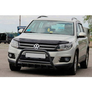 Кенгурятник WT003 Black (нерж) фото 2