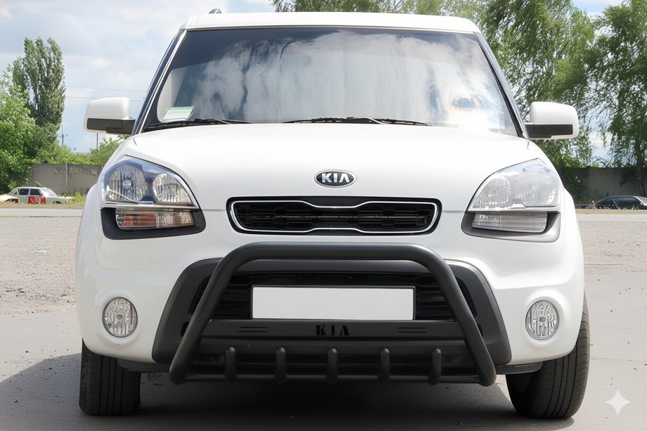 Kia Soul I 2008-2013 рр. Кенгурятник WT004 Black (нерж) Фото 1