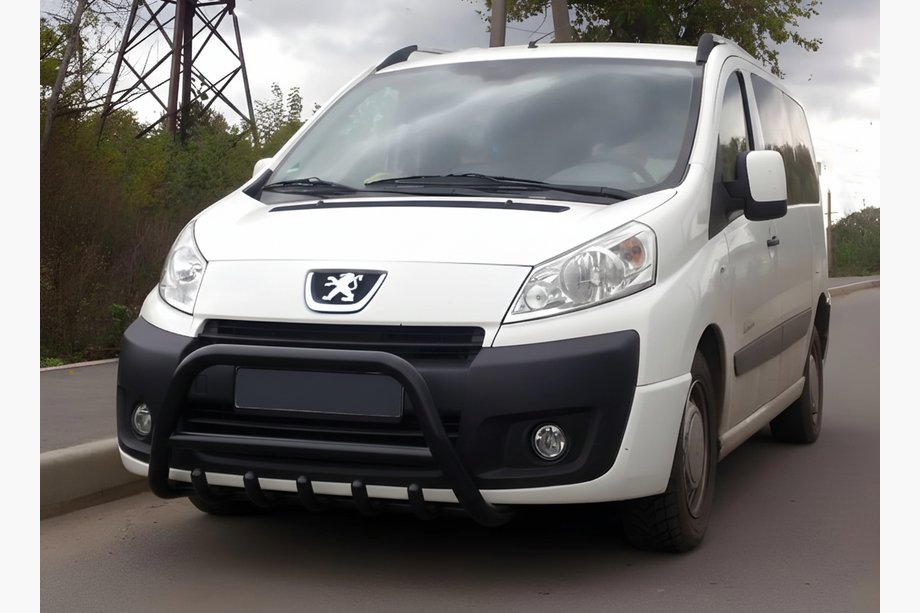 Citroen Jumpy 2007-2017 рр. Кенгурятник WT003 Black (нерж) Image