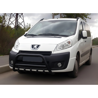 Кенгурятник WT003 Black (нерж) фото 1