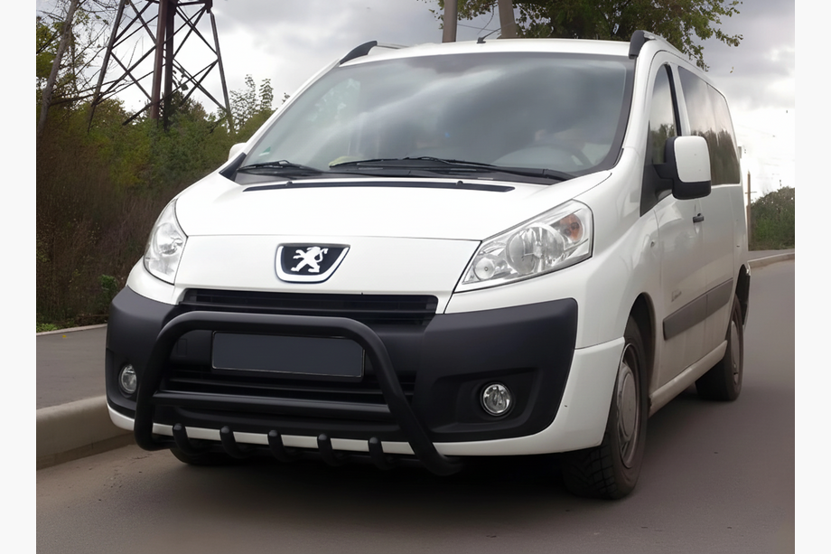Peugeot Expert 2007-2016 рр. Кенгурятник WT003 Black (нерж) Image