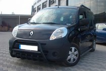 Renault Kangoo 2008-2020 рр. Кенгурятник WT003 Black (нерж) фото 4