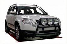 Skoda Yeti 2009-2017 рр. Кенгурятник WT018 Black (нерж.) фото 1