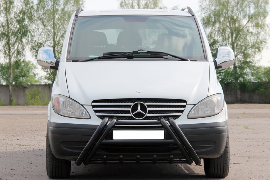Mercedes Vito W639 2004-2014 рр. Кенгурятник Kelebek WT011 Black (нерж.) Фото 1