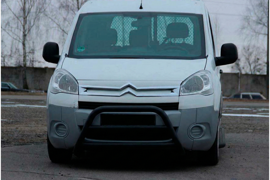 Peugeot Partner Tepee 2008-2018 рр. Кенгурятник WT022 Black (нерж.) Image