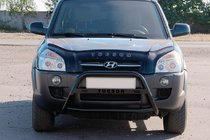Hyundai Tucson JM 2004- рр. Кенгурятник WT025 Black (нерж.) фото 3