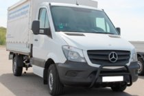 Mercedes Sprinter W906 2006-2018 рр. Кенгурятник WT003 (чорний) фото 1