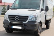 Mercedes Sprinter W906 2006-2018 рр. Кенгурятник WT003 (чорний) фото 2