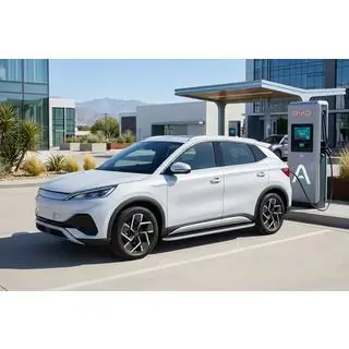 Бокові пороги Tayga Grey(2 шт., Алюміній) BYD Atto 3 2021- рр. фото 1