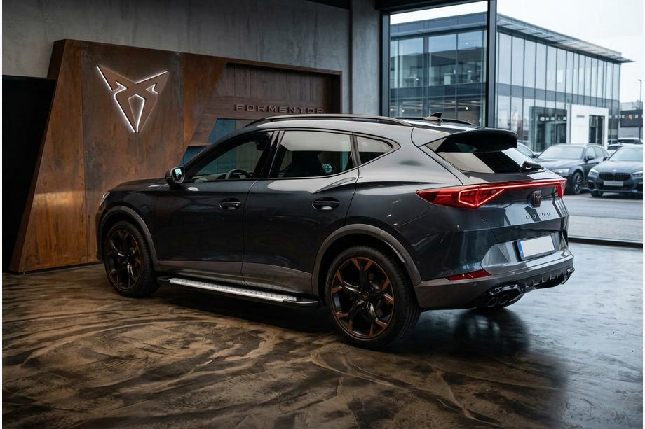 Cupra Formentor 2020- рр. Бокові пороги Allmond Grey (2 шт., Алюміній) Фото 1