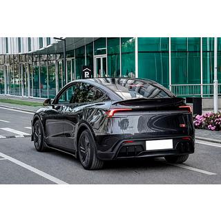 Комплект обвісів Black Warrior (для 2025+) Tesla Model Y 2020- рр. фото 4
