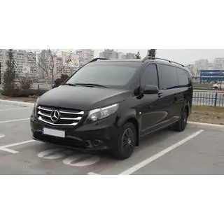 Накладки на решітку 2014-2020 (5 шт, нерж) фото 4