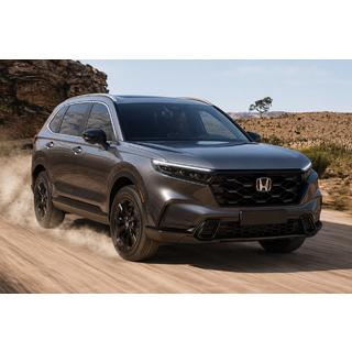 Інтегровані рейлінги сірі OEM (ABS-пластик , установка на клей)