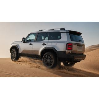 Рейлінги сірі OEM (Алюміній) Toyota Land Cruiser Prado 250 2023- рр.