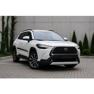 Інтегровані рейлінги чорний OEM (ABS-пластик, установка на клей) фото 1