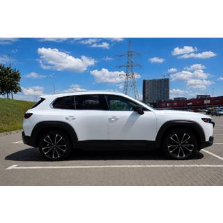 Рейлінги сірі OEM (Алюміній, установка на клей) фото 1