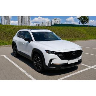 Рейлінги сірі OEM (Алюміній, установка на клей) фото 2
