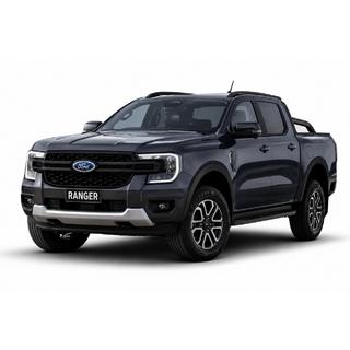 Рейлінги чорні OEM (ABS-пластик, установка на клей) фото 1