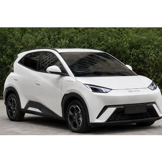 Рейлінги чорні OEM (ABS-пластик, установка на клей) BYD Dolphin 2025- рр.