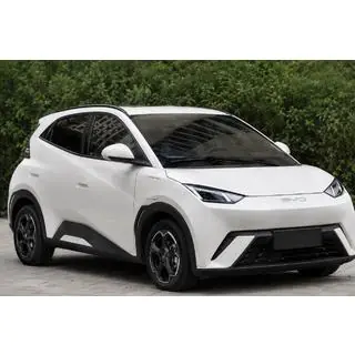 Рейлінги чорні OEM (ABS-пластик, установка на клей) BYD Dolphin 2025- рр.