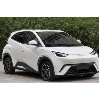 Рейлінги сірі OEM (ABS-пластик, установка на клей) BYD Dolphin 2025- рр.