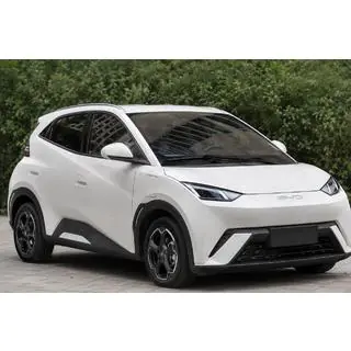 Рейлінги сірі OEM (ABS-пластик, установка на клей) BYD Dolphin 2025- рр.