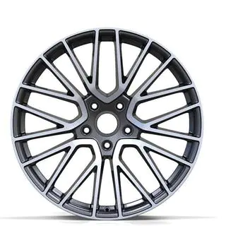 Ковані диски DH-Style V8 R24